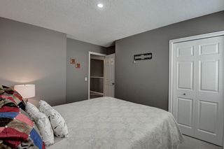 Photo 23: 59 Skyview Point Terrace NE in Calgary: Skyview Ranch Detached for sale : MLS®# A2023748
