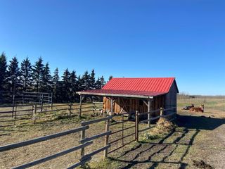 Photo 35: 23420 Township Road 374: Rural Red Deer County Detached for sale : MLS®# A1156255