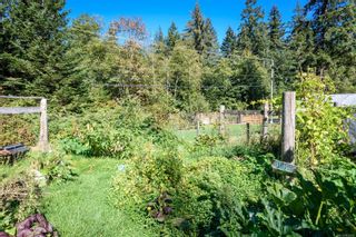 Photo 41: 1977 Coleman Rd in Courtenay: CV Courtenay North House for sale (Comox Valley)  : MLS®# 915043