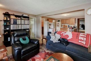 Photo 19: 4819 22 Avenue NW in Calgary: Montgomery Detached for sale : MLS®# A2053112