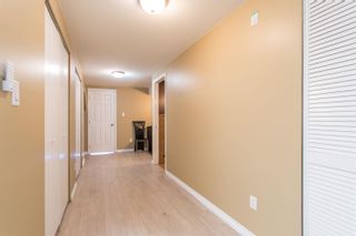Photo 26: 7758 DAVIES Street in Burnaby: Edmonds BE House for sale (Burnaby East)  : MLS®# R2709592