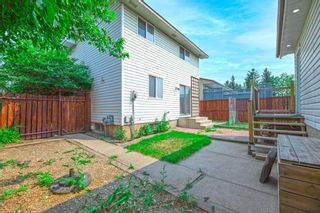 Photo 37: 639 TEMPLESIDE Road NE in Calgary: Temple Detached for sale : MLS®# A1136510