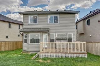 Photo 34: 51 Skyview Springs Cove NE in Calgary: Skyview Ranch Detached for sale : MLS®# C4186074