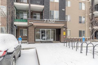 Photo 3: 211 7130 80 Avenue NE in Calgary: Saddle Ridge Apartment for sale : MLS®# A2025811