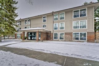 Main Photo: 514 860 Midridge Drive SE in Calgary: Midnapore Apartment for sale : MLS®# A1171503