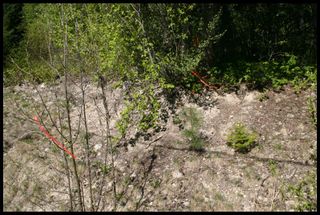 Photo 52: 21 6500 Southwest 15 Avenue in Salmon Arm: Panorama Ranch Vacant Land for sale : MLS®# 10230290