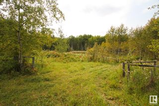 Photo 3: W4 12-62 19 SE: Rural St. Paul County Vacant Lot/Land for sale : MLS®# E4305894
