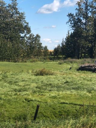 Photo 9: 28031 TWP RD 514: Rural Parkland County Rural Land/Vacant Lot for sale : MLS®# E4267943