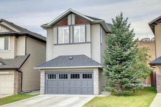Photo 1: 68 Chaparral Valley Terrace SE in Calgary: Chaparral Detached for sale : MLS®# A1152687