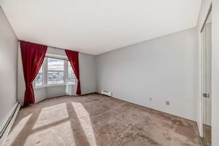 Photo 16: 411 3730 50 Street NW in Calgary: Varsity Apartment for sale : MLS®# A2126442