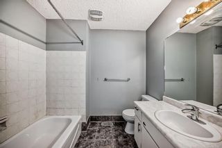 Photo 20: 111 Pinemill Mews NE in Calgary: Pineridge Detached for sale : MLS®# A2115447