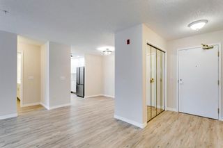 Photo 15: 204 7239 Sierra Morena Boulevard SW in Calgary: Signal Hill Apartment for sale : MLS®# A2022384