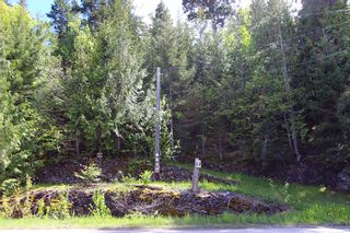 Photo 11: 1706 Blind Bay Road: Blind Bay Vacant Land for sale (South Shuswap)  : MLS®# 10185440