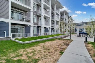 Photo 36: 210 300 Auburn Meadows Common SE in Calgary: Auburn Bay Apartment for sale : MLS®# A2131157