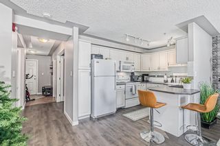 Photo 10: 108 2419 Erlton Road SW in Calgary: Erlton Apartment for sale : MLS®# A2019355