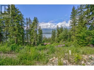 Photo 3: 3541 20 Street NE in Salmon Arm: Vacant Land for sale : MLS®# 10303977