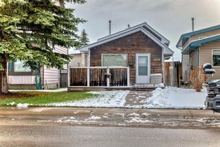 Photo 3: 1028 Mckinnon Drive NE in Calgary: Mayland Heights Detached for sale : MLS®# A2127341