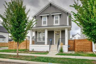 Main Photo: 1130 Copperfield Boulevard SE in Calgary: Copperfield Detached for sale : MLS®# A2082075