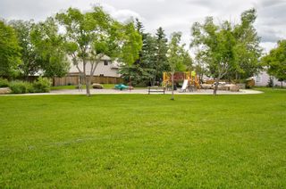 Photo 45: 63 MT Apex Green SE in Calgary: McKenzie Lake Detached for sale : MLS®# A1009034