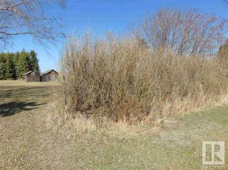 Photo 3: 4822 52 Avenue: Andrew Vacant Lot/Land for sale : MLS®# E4275396