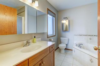 Photo 12: 366 Sagewood Gardens SW: Airdrie Detached for sale : MLS®# A1254034