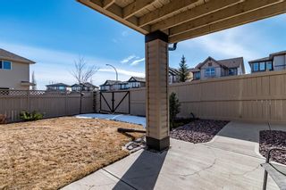 Photo 37: 2 Panamount Cove NW in Calgary: Panorama Hills Detached for sale : MLS®# A1084233
