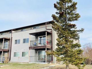 Photo 5: 311 280 Banister Drive: Okotoks Apartment for sale : MLS®# A1190853