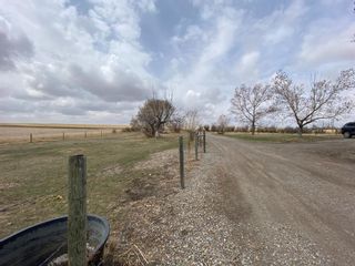 Photo 42: 578010 168 Street: Rural Foothills County Detached for sale : MLS®# A1099226