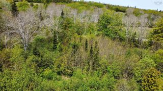 Photo 5: Lot No 217 Highway in Digby Neck: Digby County Vacant Land for sale (Annapolis Valley)  : MLS®# 202309994
