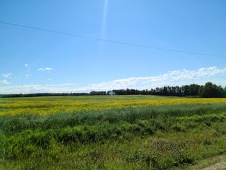 Photo 27: On Range Road 52: Rural Parkland County Commercial Land for sale : MLS®# A1252782