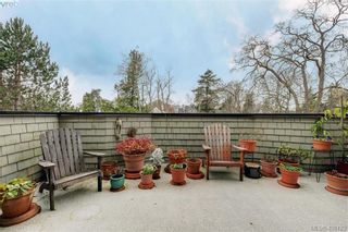 Photo 17: 5 914 St. Charles St in VICTORIA: Vi Rockland Row/Townhouse for sale (Victoria)  : MLS®# 807088