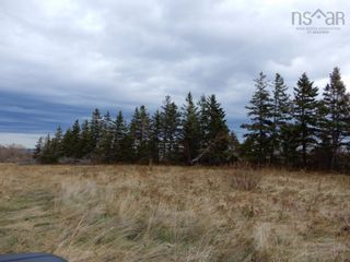 Photo 6: 55 acres Highway 6 in Toney River: 108-Rural Pictou County Vacant Land for sale (Northern Region)  : MLS®# 202224296