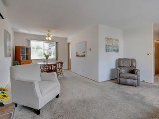 Photo 4: 4253 Grange Rd in Saanich: SW Northridge House for sale (Saanich West)  : MLS®# 920699