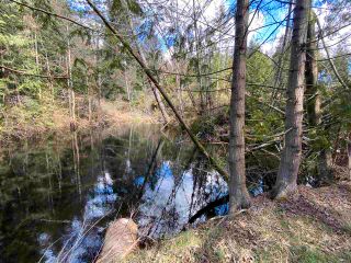 Photo 3: 1815 HARMAN Road: Roberts Creek Land for sale (Sunshine Coast)  : MLS®# R2614266