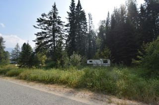 Photo 2: 106 TAMARAC STREET in Salmo: Vacant Land for sale : MLS®# 2467591