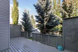 Photo 25: 28 Cougar Ridge Link SW in Calgary: Cougar Ridge Detached for sale : MLS®# A2121647