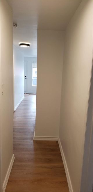 Photo 5: 284A Lakeshore Road E in Mississauga: Port Credit House (2-Storey) for lease : MLS®# W5942645