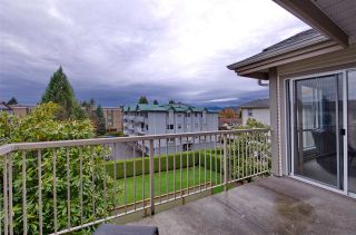 Photo 17: 301 19122 122 Avenue in Pitt Meadows: Central Meadows Condo for sale in "EDGEWOOD MANOR" : MLS®# R2122100