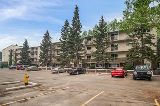 Photo 43: 115 3420 50 Street NW in Calgary: Varsity Apartment for sale : MLS®# A2052352