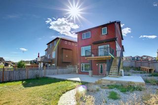 Photo 45: 51 Evanscrest Way NW in Calgary: Evanston Detached for sale : MLS®# A2014027