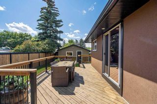 Photo 6: 2439 41 Street SE in Calgary: Forest Lawn Detached for sale : MLS®# A2061901
