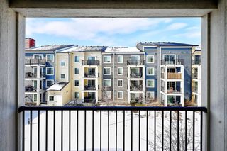 Photo 25: 2306 755 Copperpond Boulevard SE in Calgary: Copperfield Apartment for sale : MLS®# A1208710