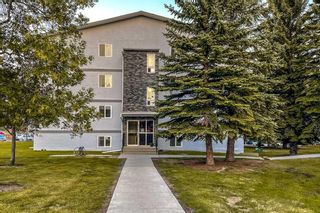 Main Photo: 101A 5601 Dalton Drive NW in Calgary: Dalhousie Apartment for sale : MLS®# A2076302