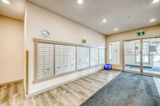 Photo 8: 3610 4641 128 Avenue NE in Calgary: Skyview Ranch Apartment for sale : MLS®# A2134255