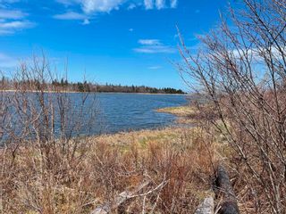 Photo 4: 11-1Z Galt Pond Road in Lower Barneys River: 108-Rural Pictou County Vacant Land for sale (Northern Region)  : MLS®# 202307500