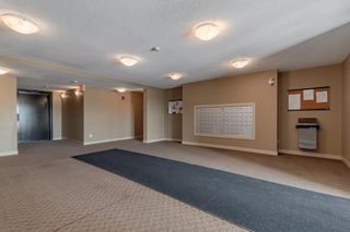 Photo 26: 216 5 Saddlestone Way NE in Calgary: Saddle Ridge Apartment for sale : MLS®# A2034903