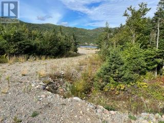 Photo 6: 460 Route - White's Road in Gull Pond: Vacant Land for sale : MLS®# 1261834