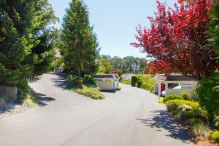 Photo 1: 3665 1507 Queensbury Ave in Saanich: SE Cedar Hill Row/Townhouse for sale (Saanich East)  : MLS®# 866565
