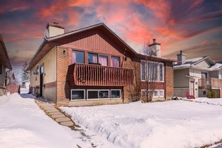 Photo 1: 169 CASTLEBROOK Way NE in Calgary: Castleridge Semi Detached (Half Duplex) for sale : MLS®# A2032790