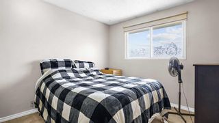 Photo 16: 300 Berwick Drive NW in Calgary: Beddington Heights Detached for sale : MLS®# A2118693